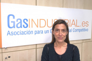 Gasindustrial directora general vernica rivire 13281