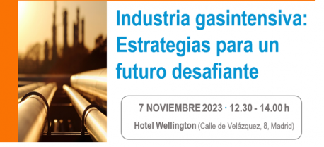 GasIndustrial Foro industrial del gas